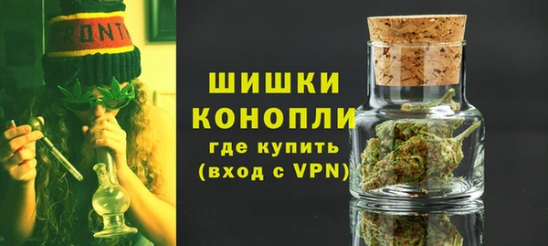тгк Долгопрудный