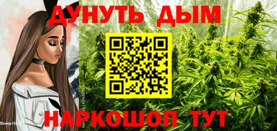 шишки Апрелевка