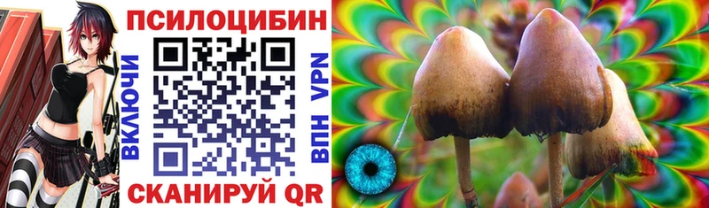 Псилоцибиновые грибы Psilocybe  сайты даркнета какой сайт  Камень-на-Оби 